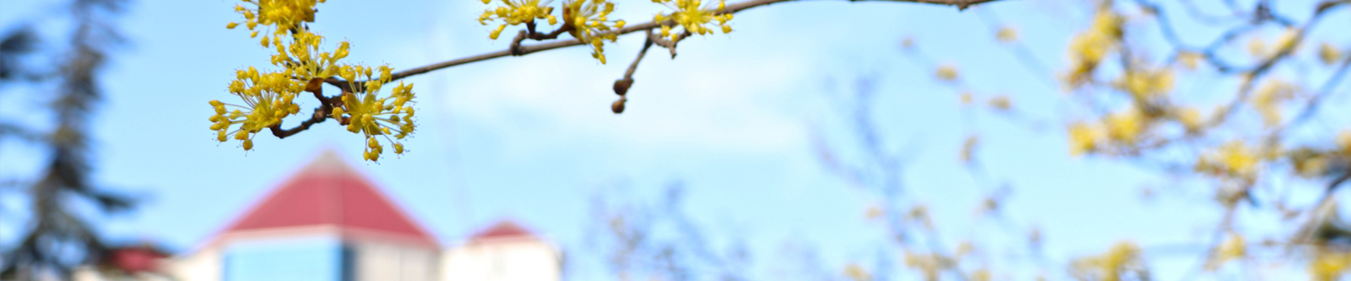 sub_banner01